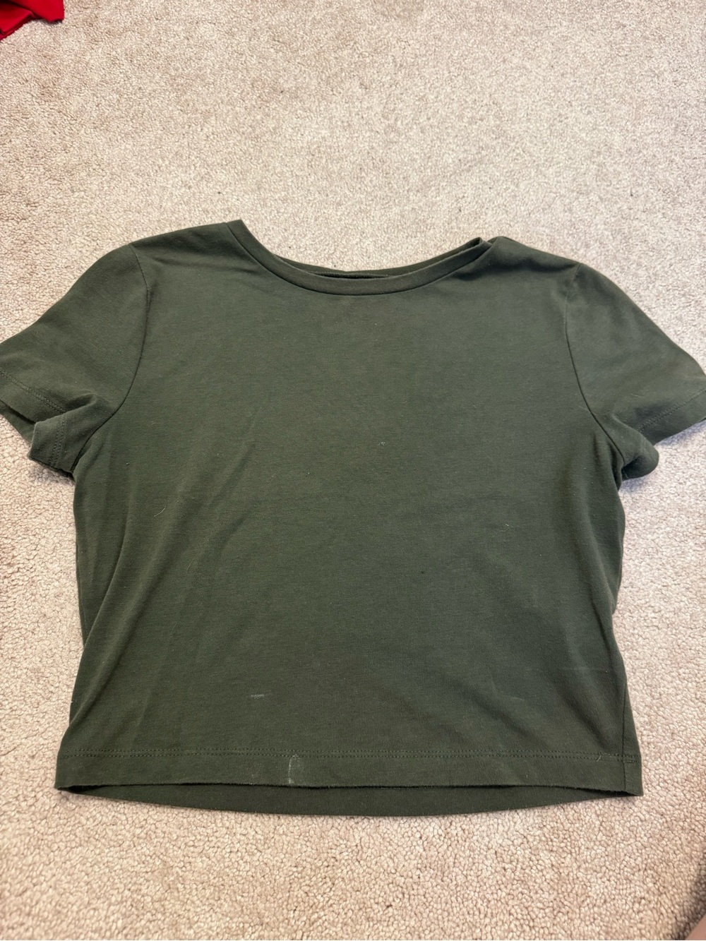wild fable Olive Green Short Sleeve Crop Tee
